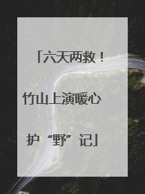六天两救！竹山上演暖心护“野”记