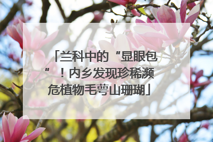兰科中的“显眼包”！内乡发现珍稀濒危植物毛萼山珊瑚