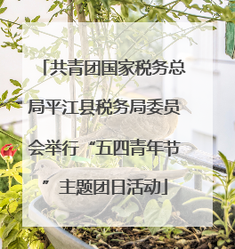 共青团国家税务总局平江县税务局委员会举行“五四青年节”主题团日活动