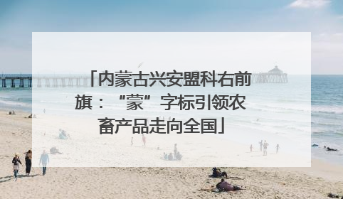 内蒙古兴安盟科右前旗：“蒙”字标引领农畜产品走向全国