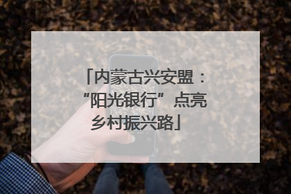 内蒙古兴安盟：“阳光银行”点亮乡村振兴路