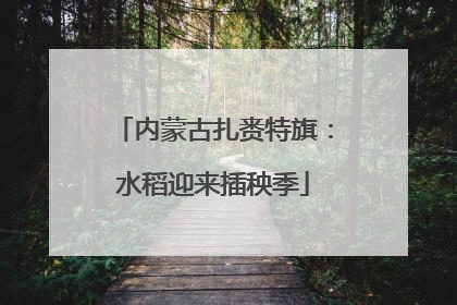 内蒙古扎赉特旗：水稻迎来插秧季