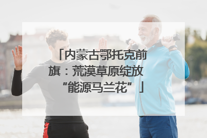 内蒙古鄂托克前旗：荒漠草原绽放“能源马兰花”