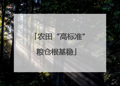 农田“高标准” 粮仓根基稳