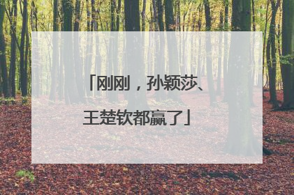 刚刚，孙颖莎、王楚钦都赢了