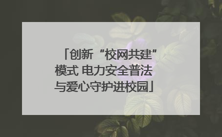 创新“校网共建”模式 电力安全普法与爱心守护进校园