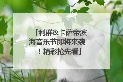 利群&卡萨帝滨海音乐节即将来袭！精彩抢先看