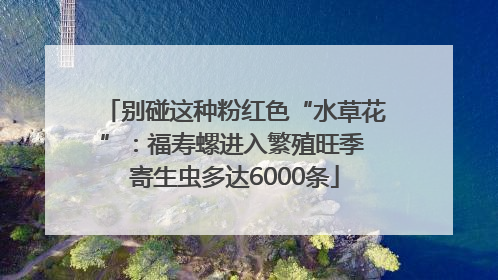 别碰这种粉红色“水草花”：福寿螺进入繁殖旺季 寄生虫多达6000条