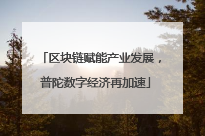 区块链赋能产业发展，普陀数字经济再加速