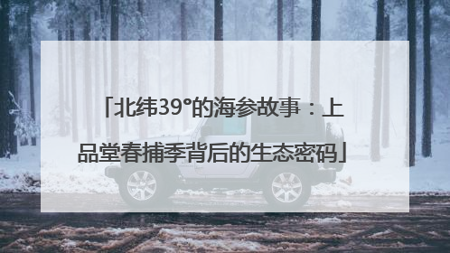 北纬39°的海参故事：上品堂春捕季背后的生态密码
