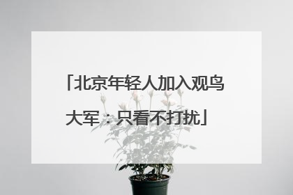 北京年轻人加入观鸟大军：只看不打扰