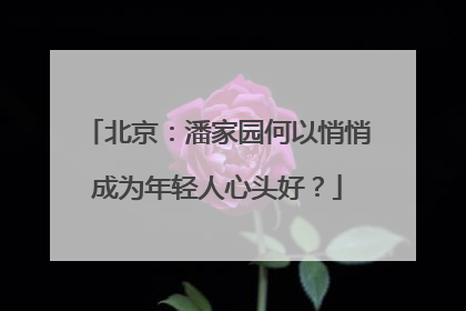 北京：潘家园何以悄悄成为年轻人心头好？