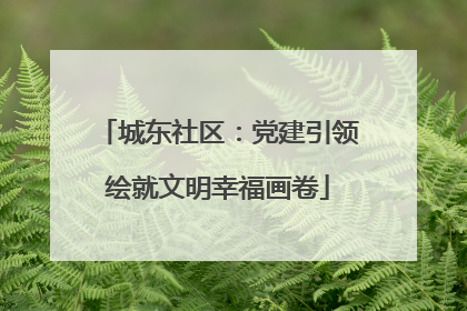 城东社区：党建引领绘就文明幸福画卷