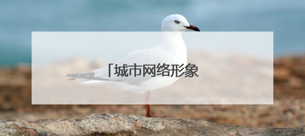 城市网络形象合肥名列前茅