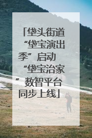 垡头街道“垡宝演出季”启动 “垡宝治家”数智平台同步上线