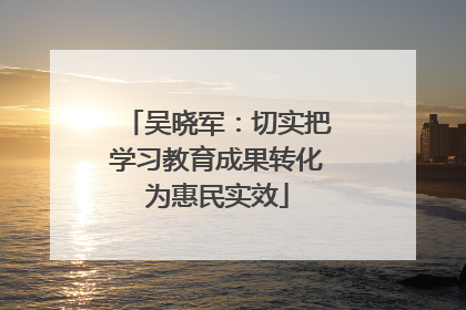 吴晓军：切实把学习教育成果转化为惠民实效