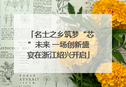 名士之乡筑梦“芯”未来 一场创新盛宴在浙江绍兴开启