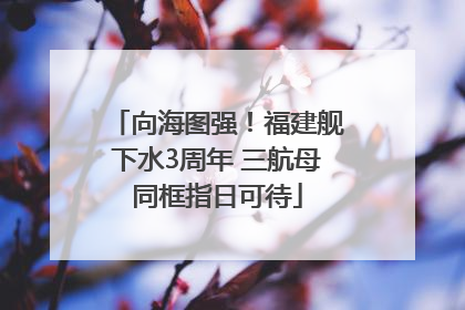 向海图强！福建舰下水3周年 三航母同框指日可待