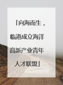 向海而生，临港成立海洋高新产业青年人才联盟