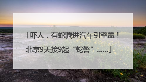吓人，有蛇藏进汽车引擎盖！北京9天接9起“蛇警”……