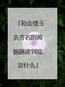 和金缕玉衣齐名的黄肠题凑到底是什么