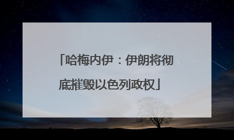 哈梅内伊：伊朗将彻底摧毁以色列政权
