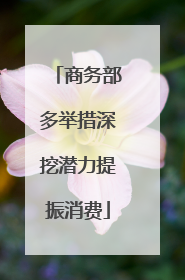 商务部多举措深挖潜力提振消费