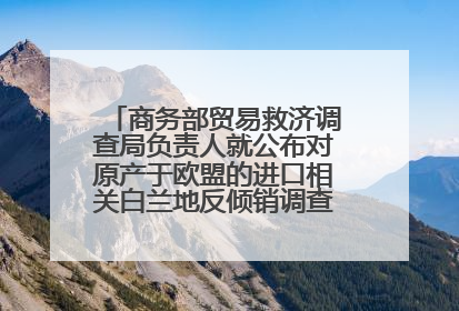商务部贸易救济调查局负责人就公布对原产于欧盟的进口相关白兰地反倾销调查最终裁定答记者问