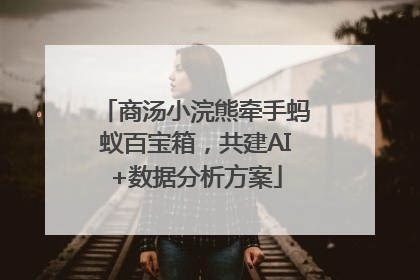 商汤小浣熊牵手蚂蚁百宝箱，共建AI+数据分析方案