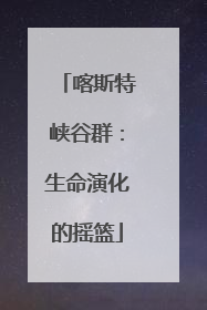 喀斯特峡谷群：生命演化的摇篮
