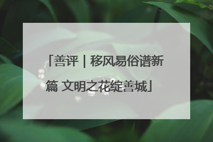 善评｜移风易俗谱新篇 文明之花绽善城