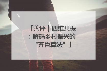 善评｜四维共振：解码乡村振兴的“齐鲁算法”
