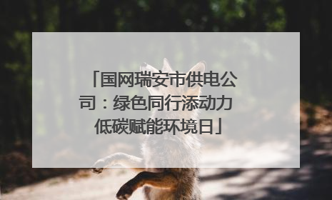 国网瑞安市供电公司：绿色同行添动力 低碳赋能环境日