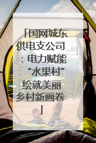 国网城东供电支公司：电力赋能“水果村” 绘就美丽乡村新画卷