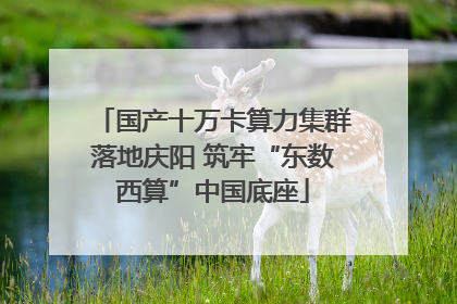 国产十万卡算力集群落地庆阳 筑牢“东数西算”中国底座