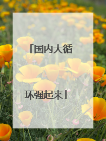 国内大循环强起来