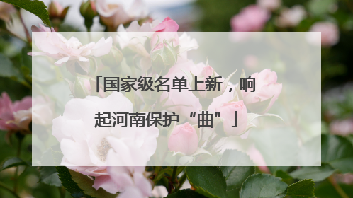 国家级名单上新，响起河南保护“曲”