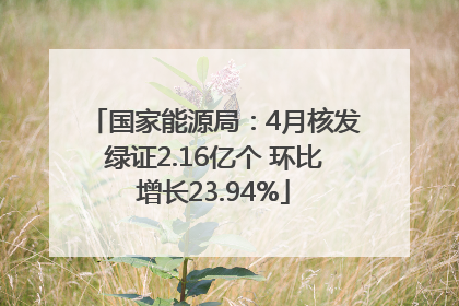 国家能源局：4月核发绿证2.16亿个 环比增长23.94%