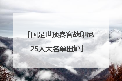 国足世预赛客战印尼25人大名单出炉