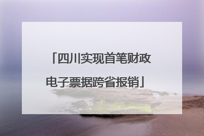 四川实现首笔财政电子票据跨省报销
