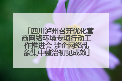 四川泸州召开优化营商网络环境专项行动工作推进会 涉企网络乱象集中整治初见成效