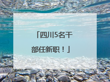 四川5名干部任新职！