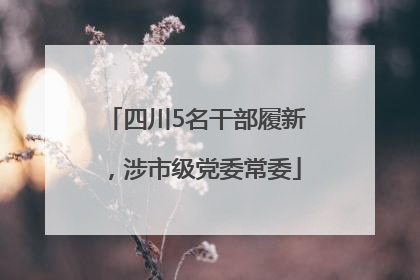 四川5名干部履新，涉市级党委常委