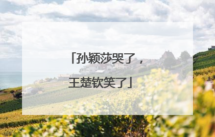 孙颖莎哭了，王楚钦笑了