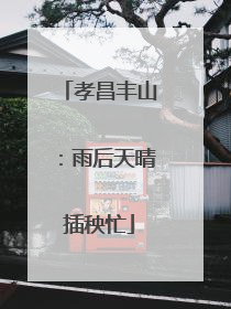 孝昌丰山：雨后天晴插秧忙