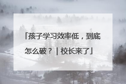 孩子学习效率低，到底怎么破？｜校长来了
