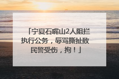宁夏石嘴山2人阻拦执行公务，辱骂撕扯致民警受伤，拘！