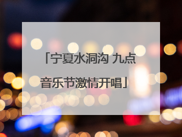 宁夏水洞沟 九点音乐节激情开唱