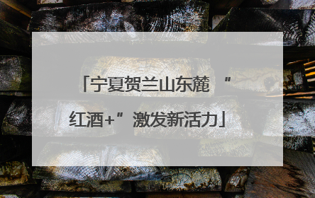 宁夏贺兰山东麓 “红酒+”激发新活力
