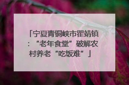 宁夏青铜峡市瞿靖镇：“老年食堂”破解农村养老“吃饭难”